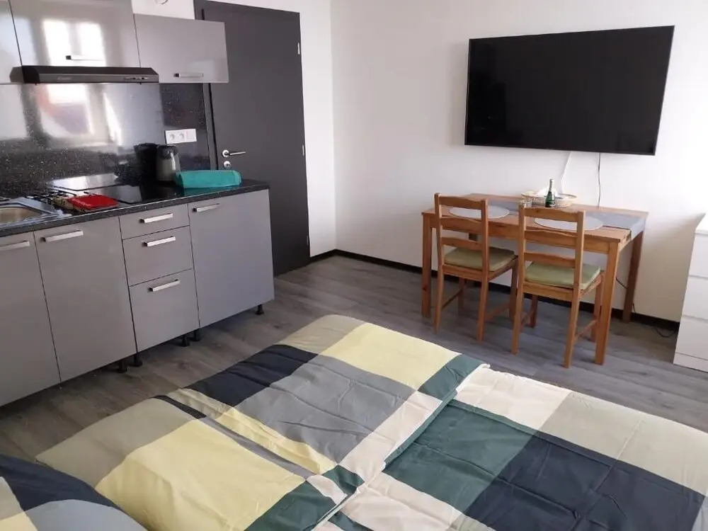 City Center Apartments - Moderna Brno Římské náměstí IV