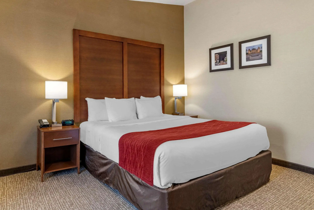 Comfort Inn Albany-South, Glenmont
