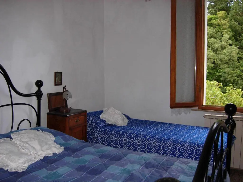 Il Pino Amiata