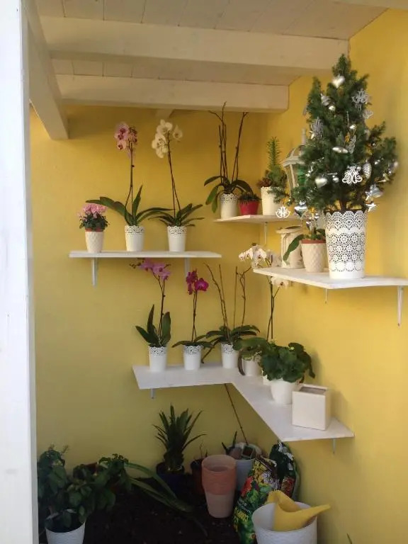 La Casa Particular