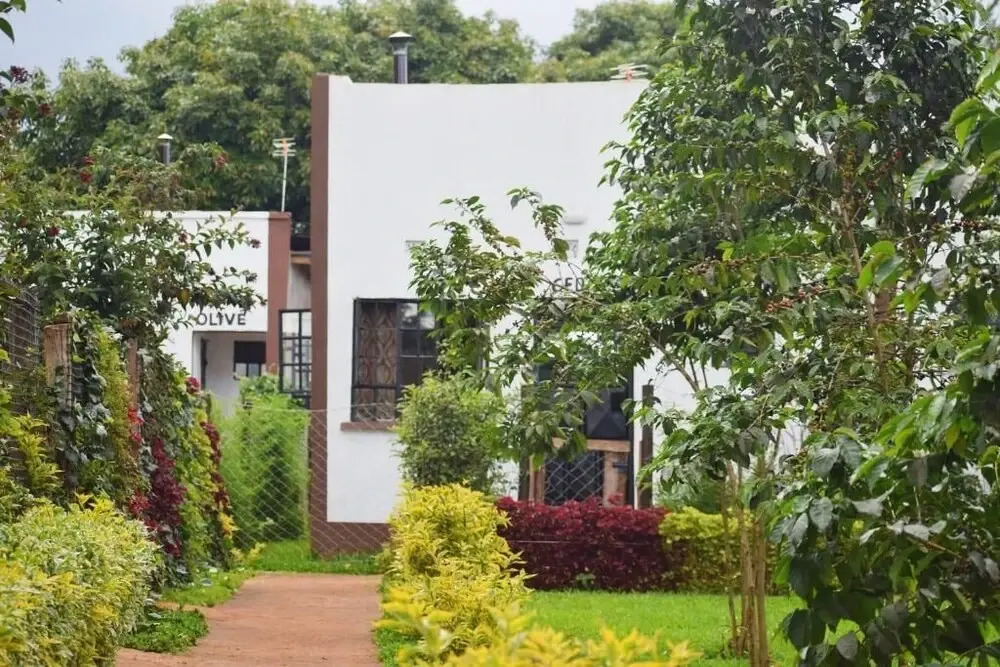 THE PLANTAINS PLACE
