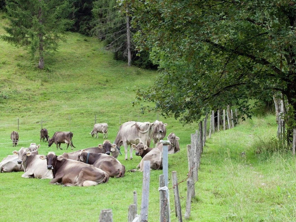 Brunnkopf