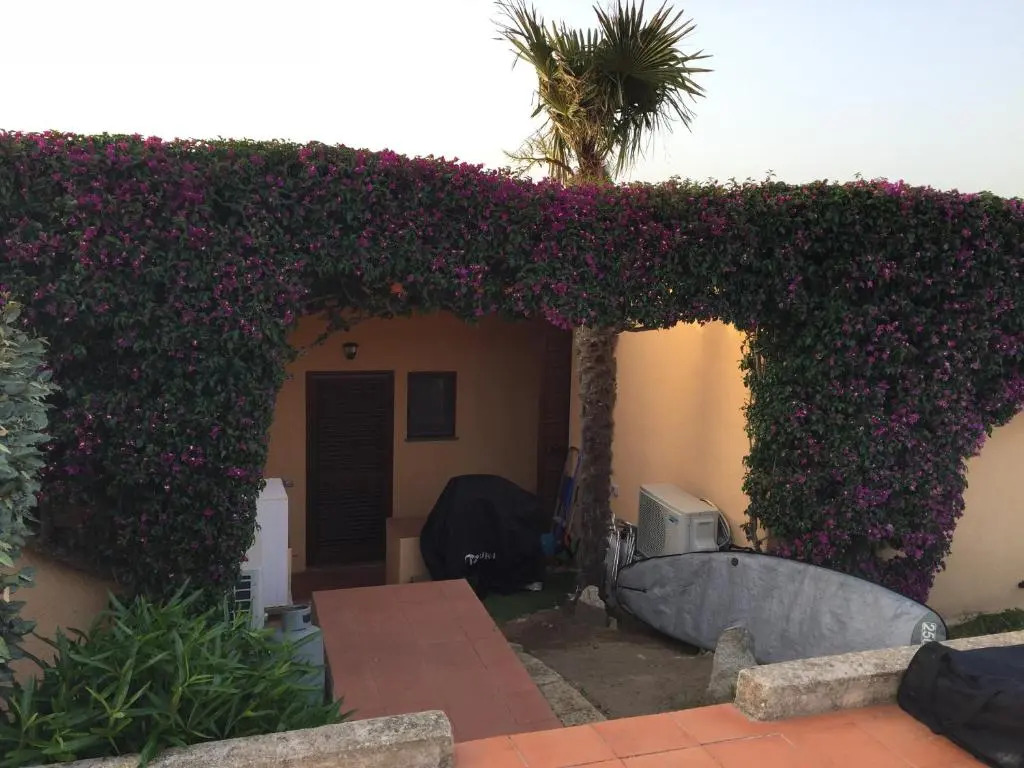 Casa Alberto 55