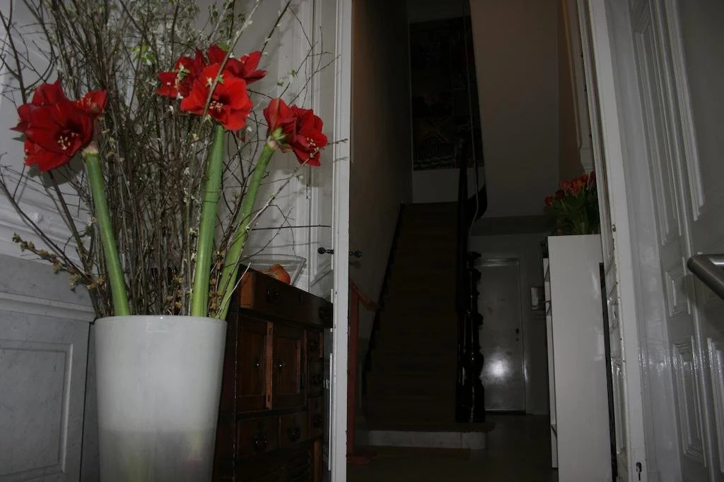 B&B Camesina