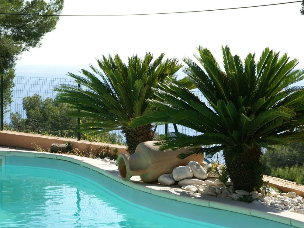 Holiday Home in Carqueiranne by the Sea