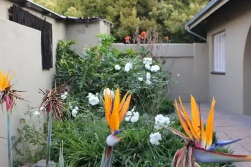 Safari Manor