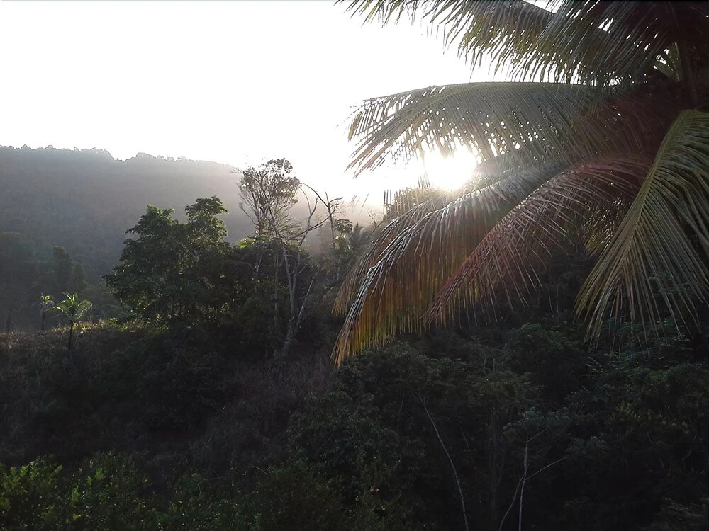 Las Cuevas Beach Lodge