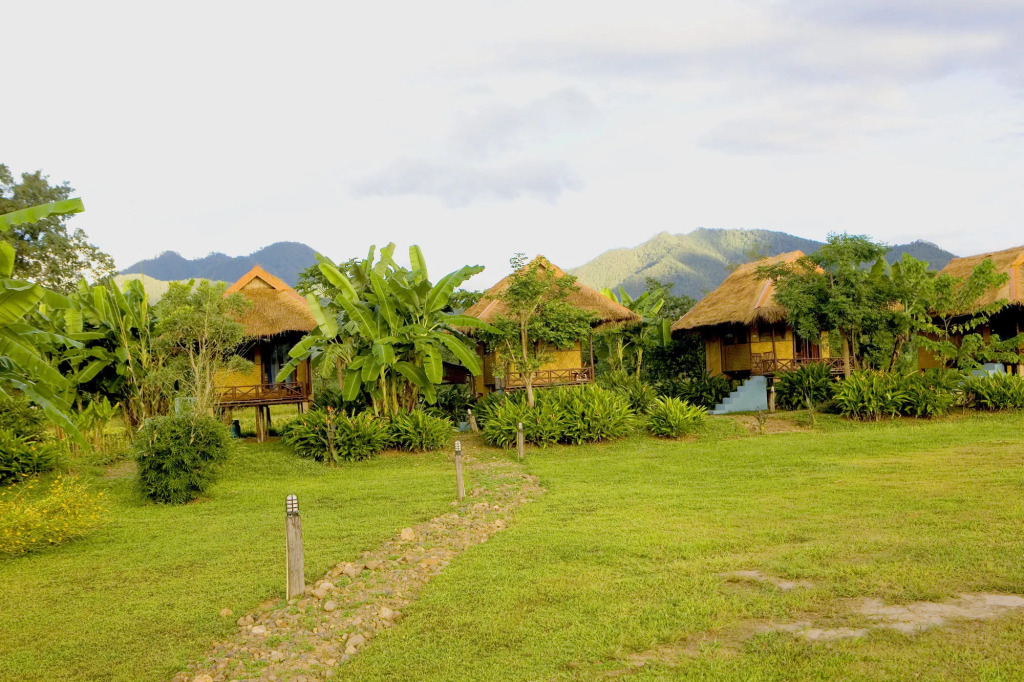 Good Morning Pai