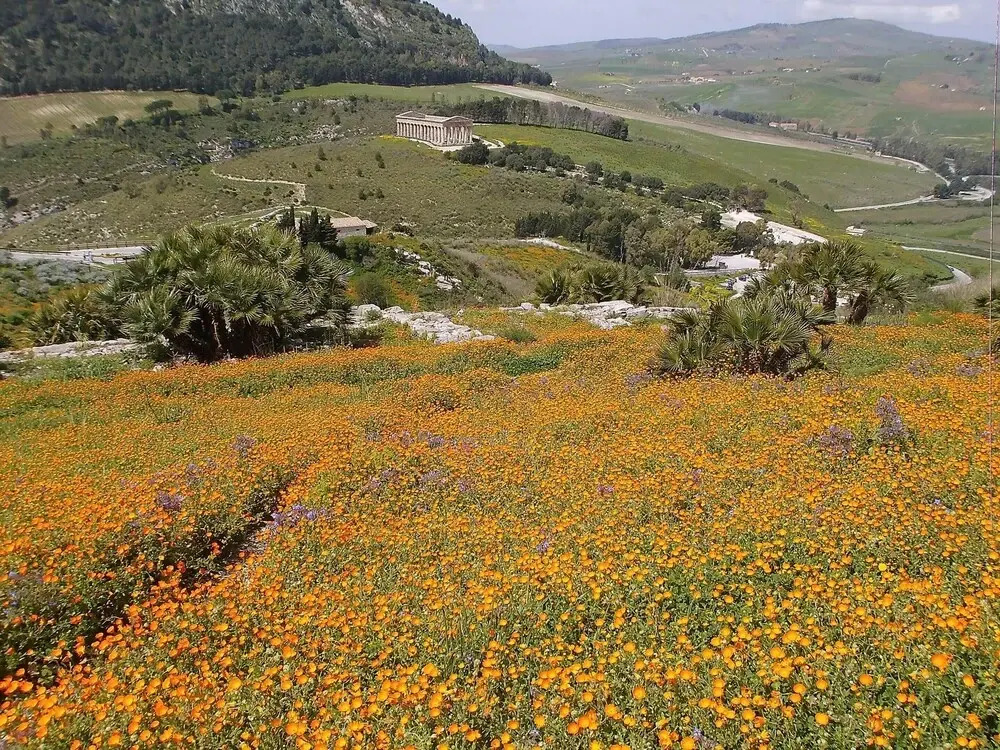 Charming house with sea and mountain views in Ribera
