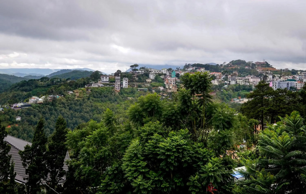 Tigon Dalat Hostel