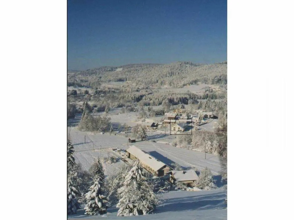 Gîte paisible avec terrasse et WIFI, proche de Gérardmer - 2 chambres, animaux acceptés - FR-1-589-216