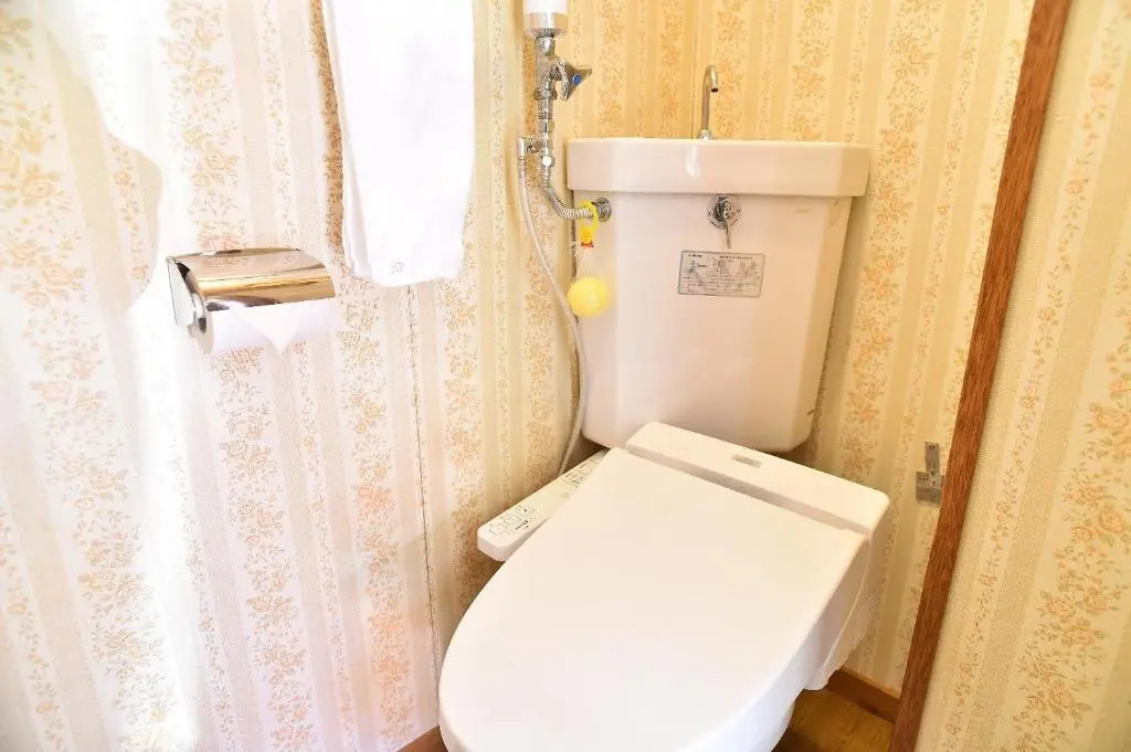 Greenheim Suitengushita / Vacation STAY 252