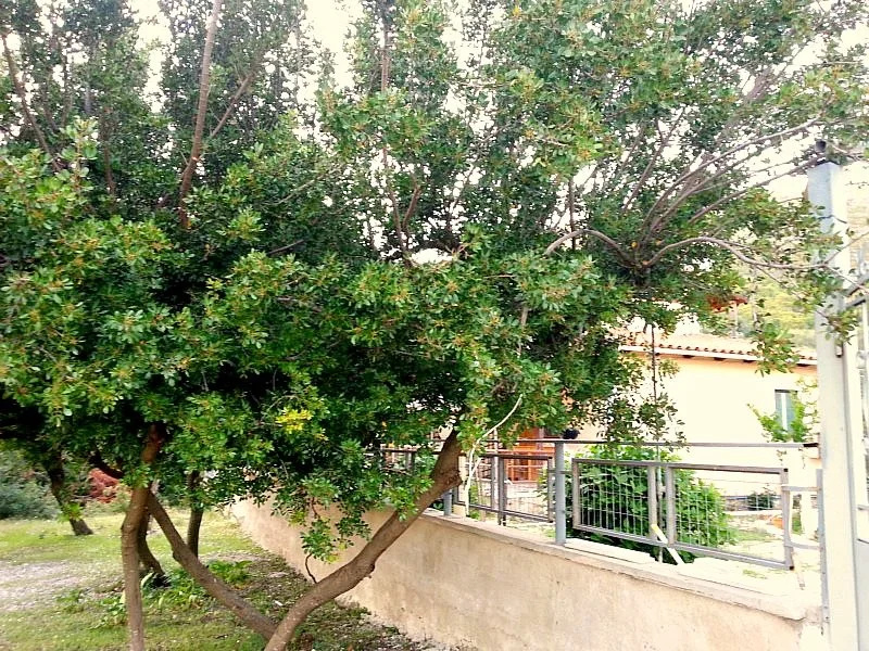 Guesthouse Rondo 2