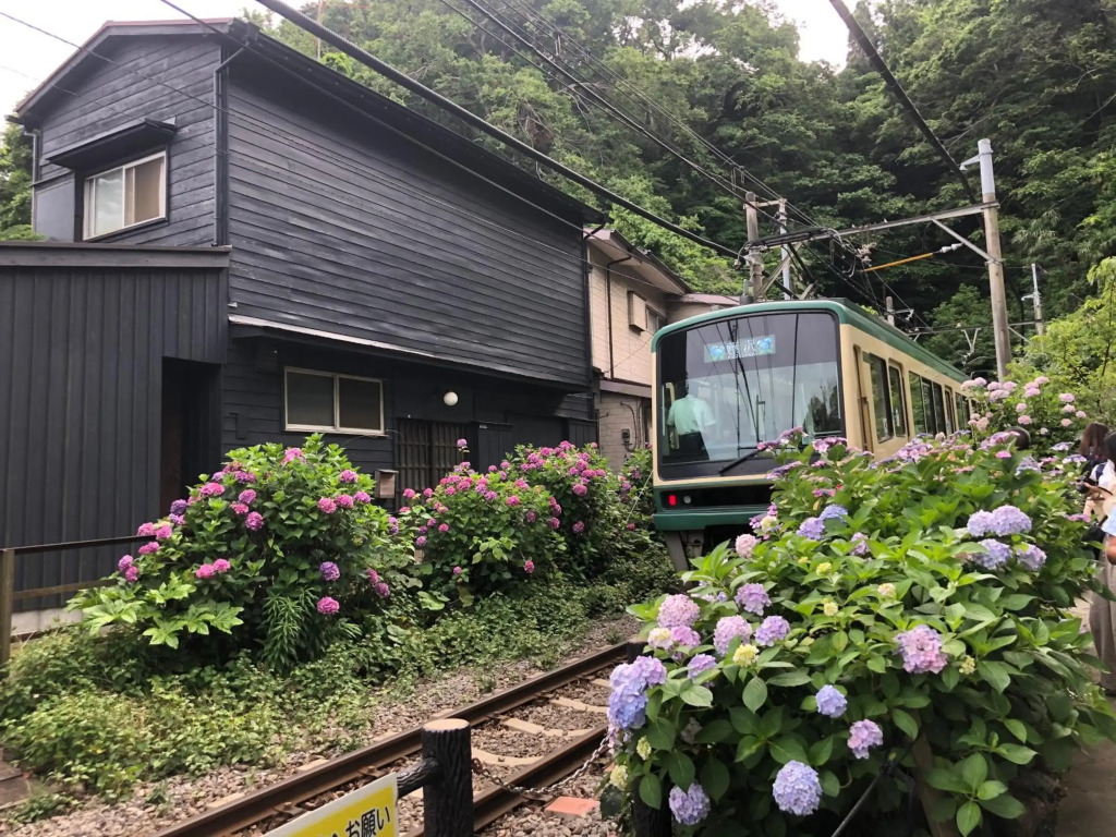 Shonan 4BR entire house&parking,戸建て独占R&L House