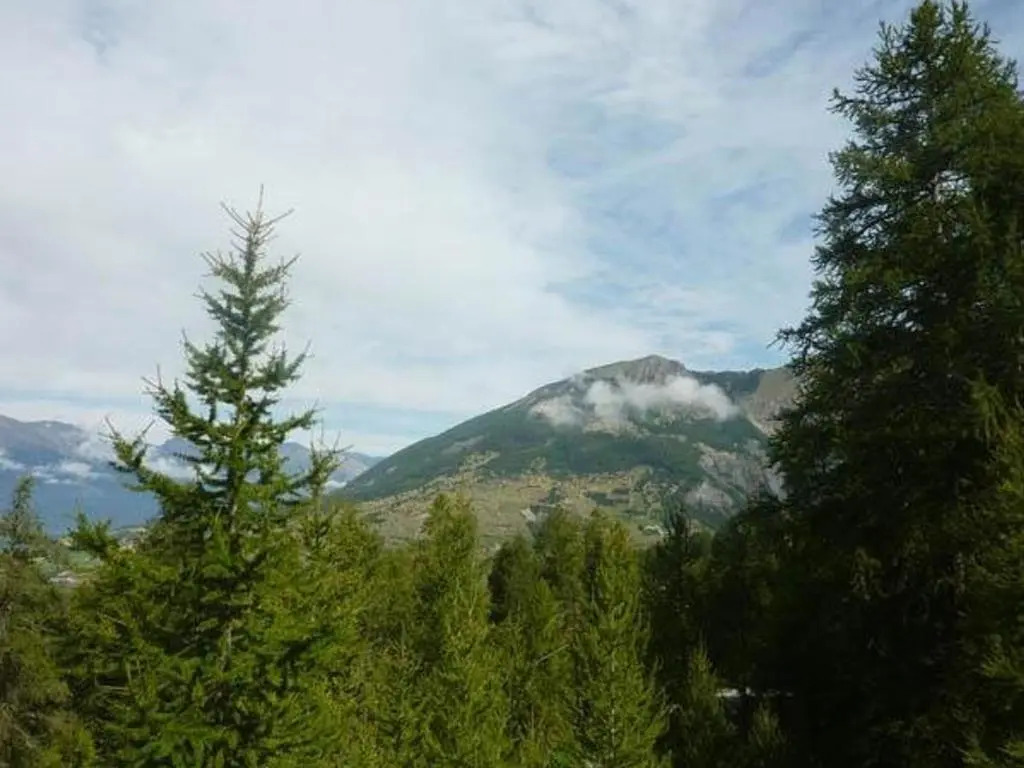 Appartement Les Orres, 1 pièce, 4 personnes - FR-1-322-230