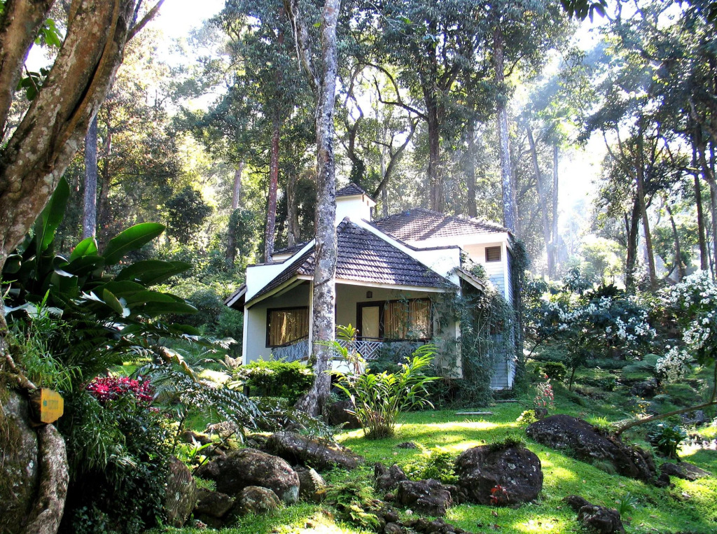 The Tall Trees Munnar