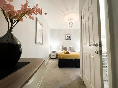 Berkeley  Apartment