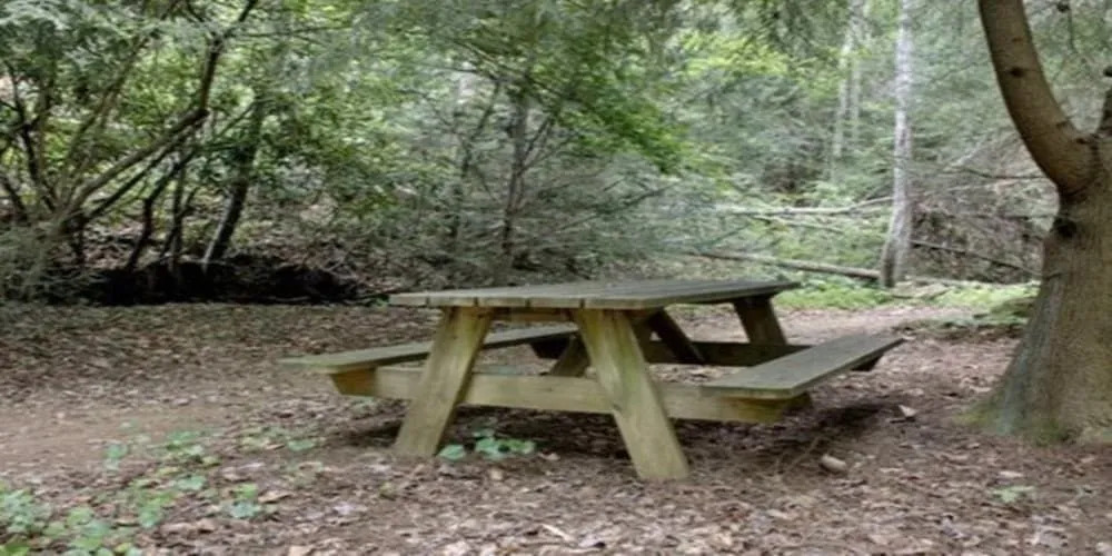 The Log Cabin