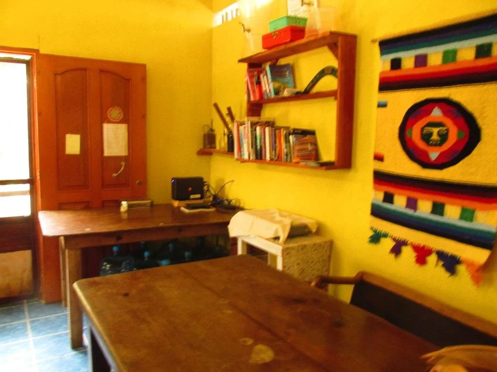 Organic Yoga Mexico