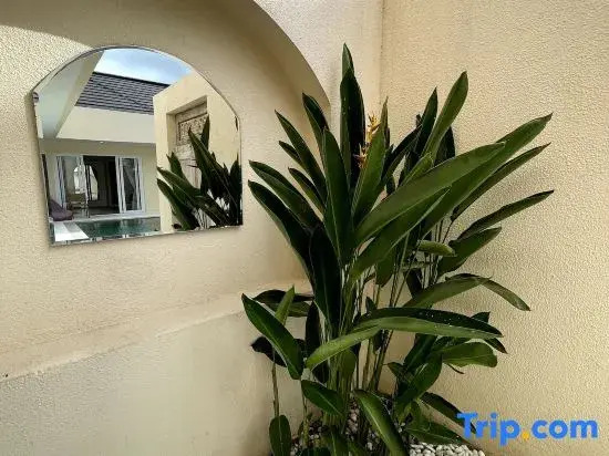Luxury 3 Bed Pool Villa in Paradise