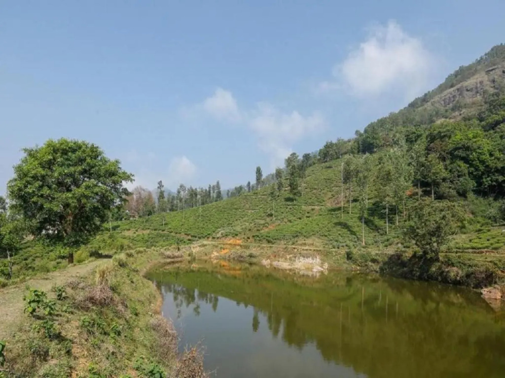 Devashola Homestay