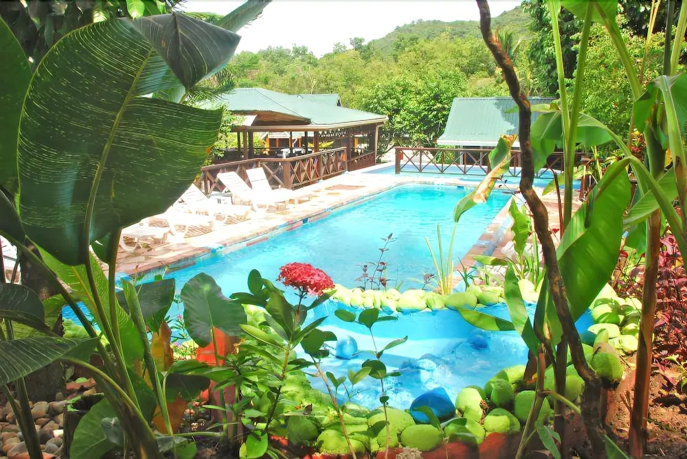 JJ's Paradise Hotel