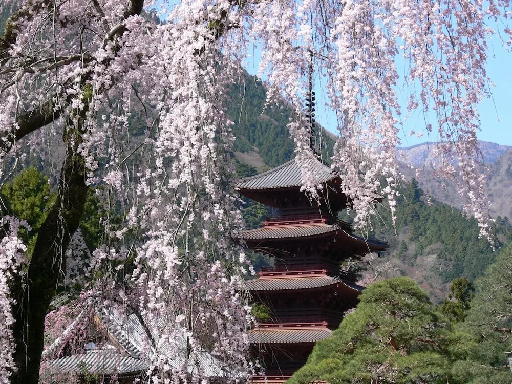 宿坊 端場坊｜Temple Hotel Habanobo