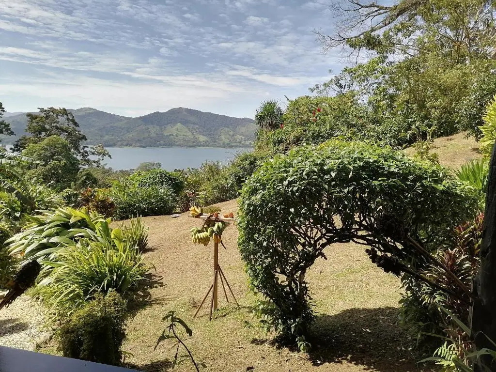 La Ceiba Tree Lodge