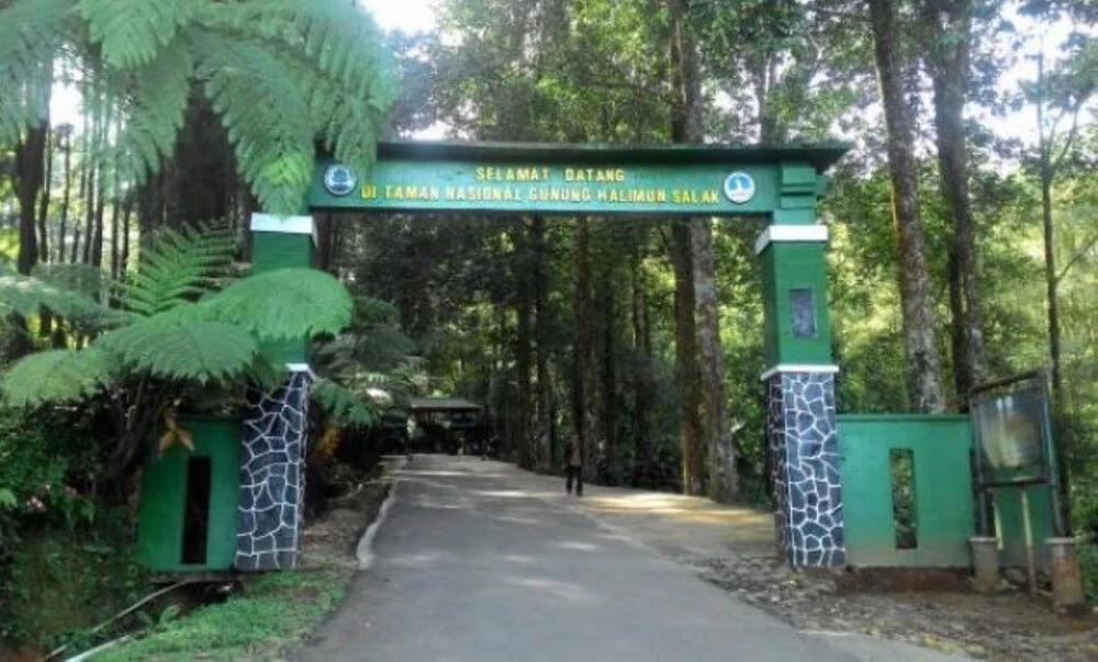 Pondok Amira