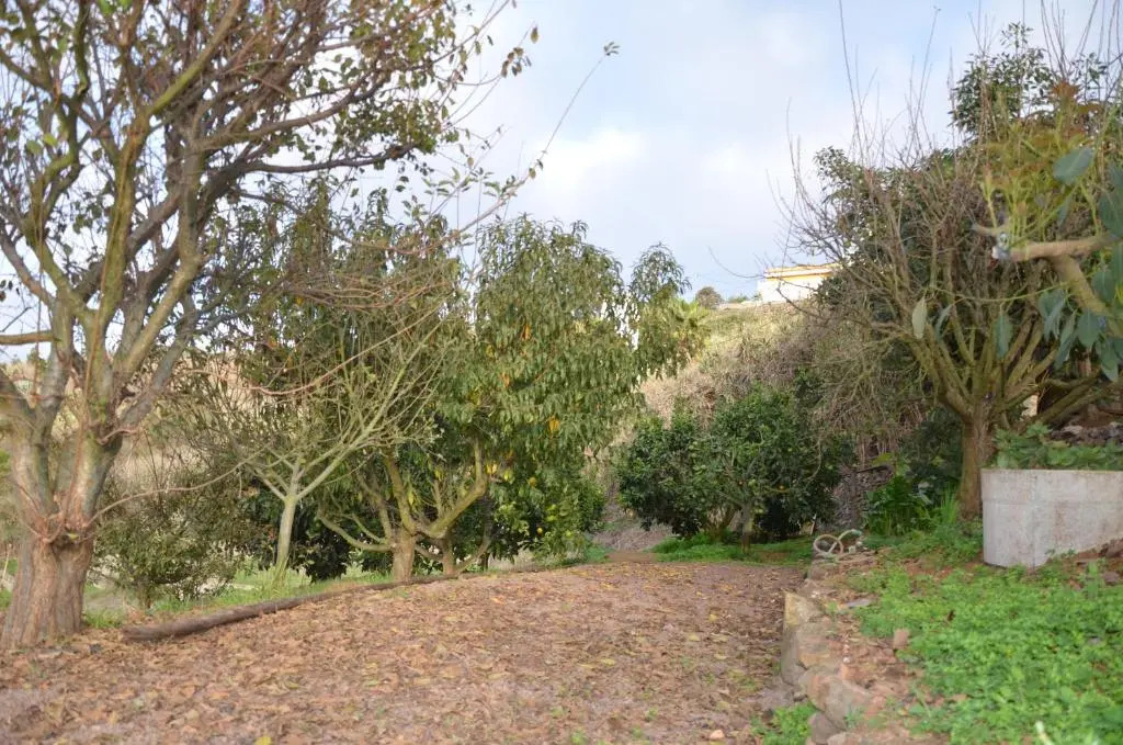 La Berrera