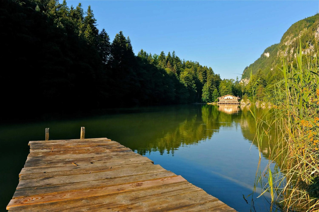Ferienwohnung Waldblick