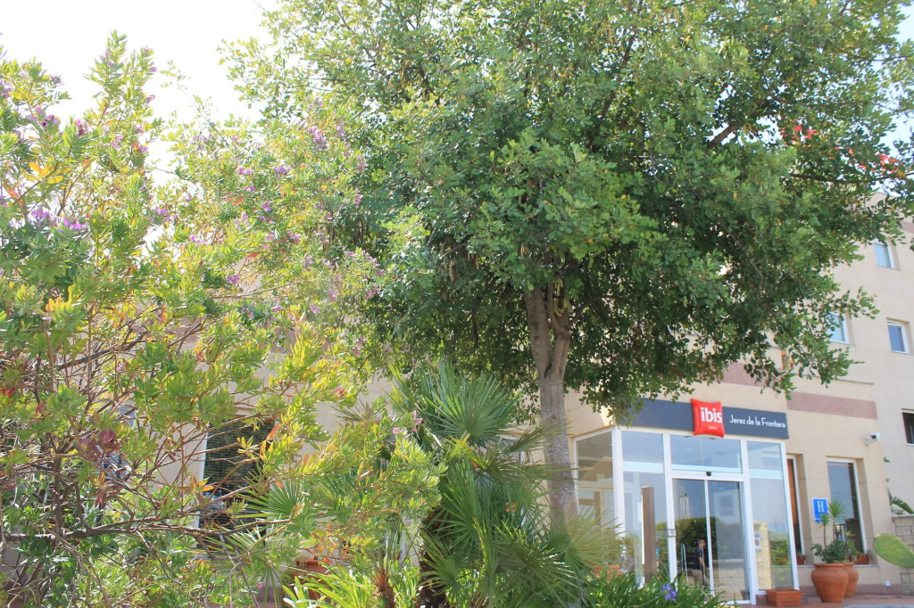 Ibis Jerez De La Frontera Cadiz