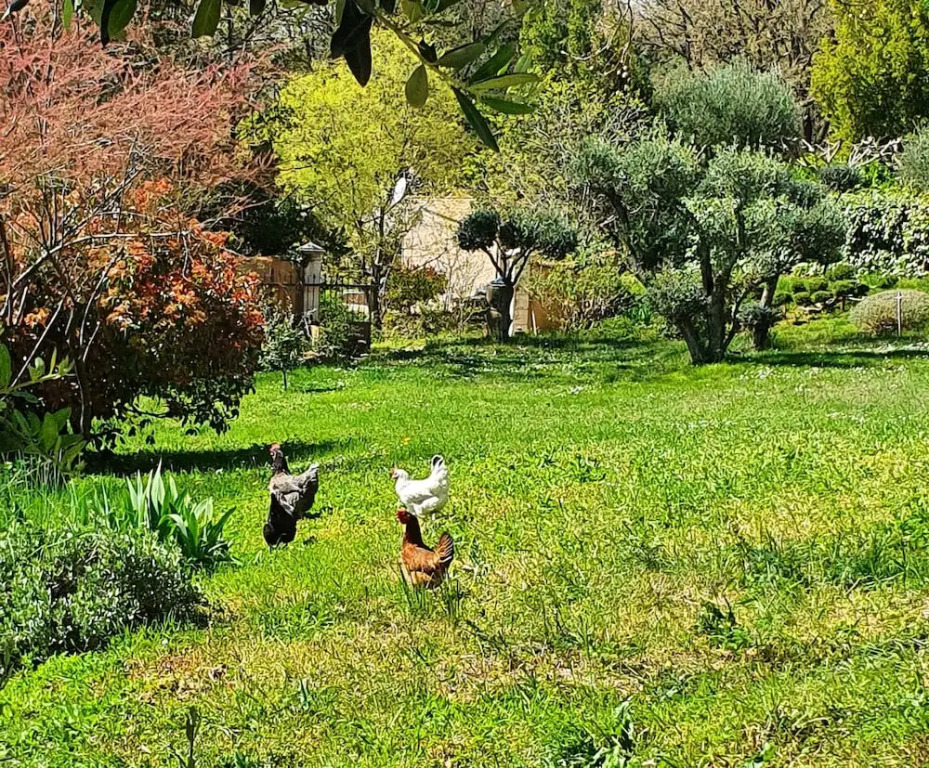 Montèze Paradis