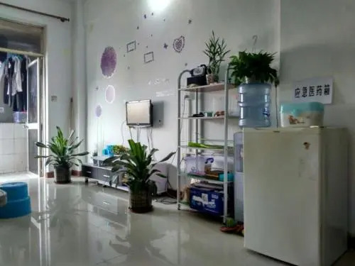 Migratory Bird Fly Hostel