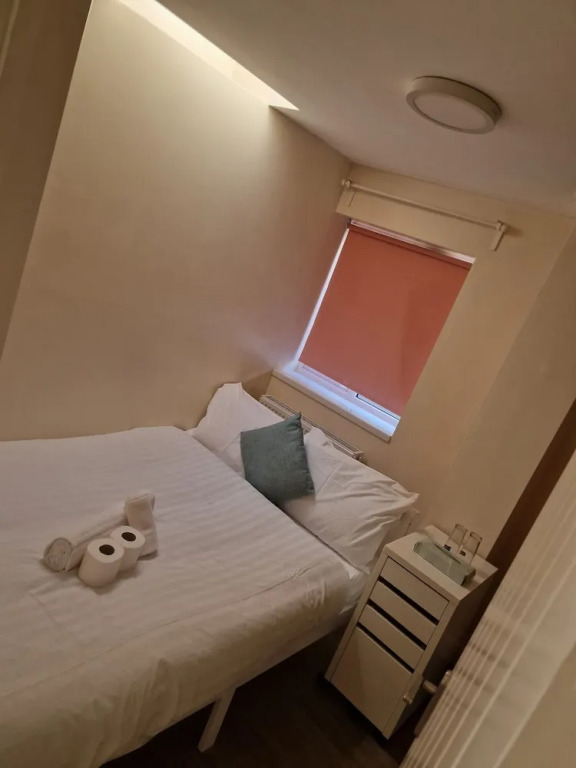 Beautiful 1 Room House in London