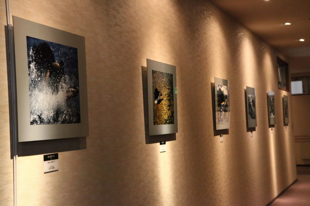 Hotel Shiretoko