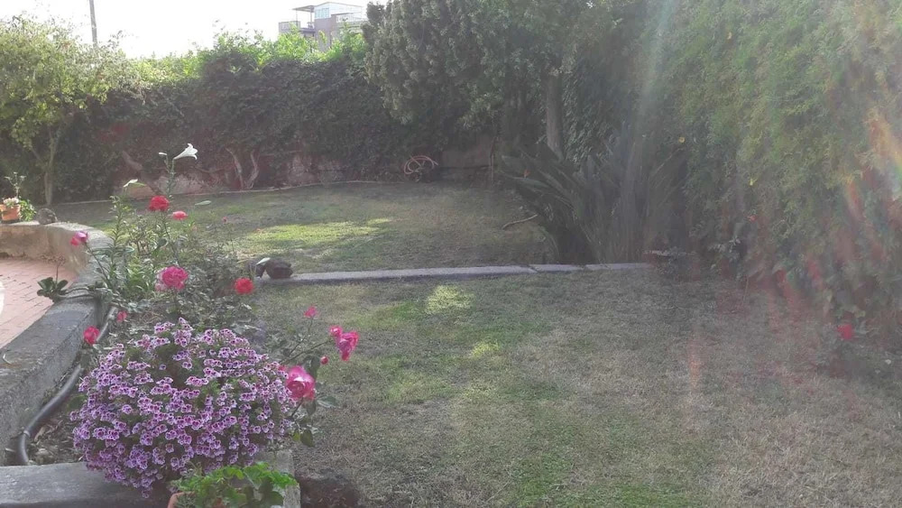 Roseto Apartments