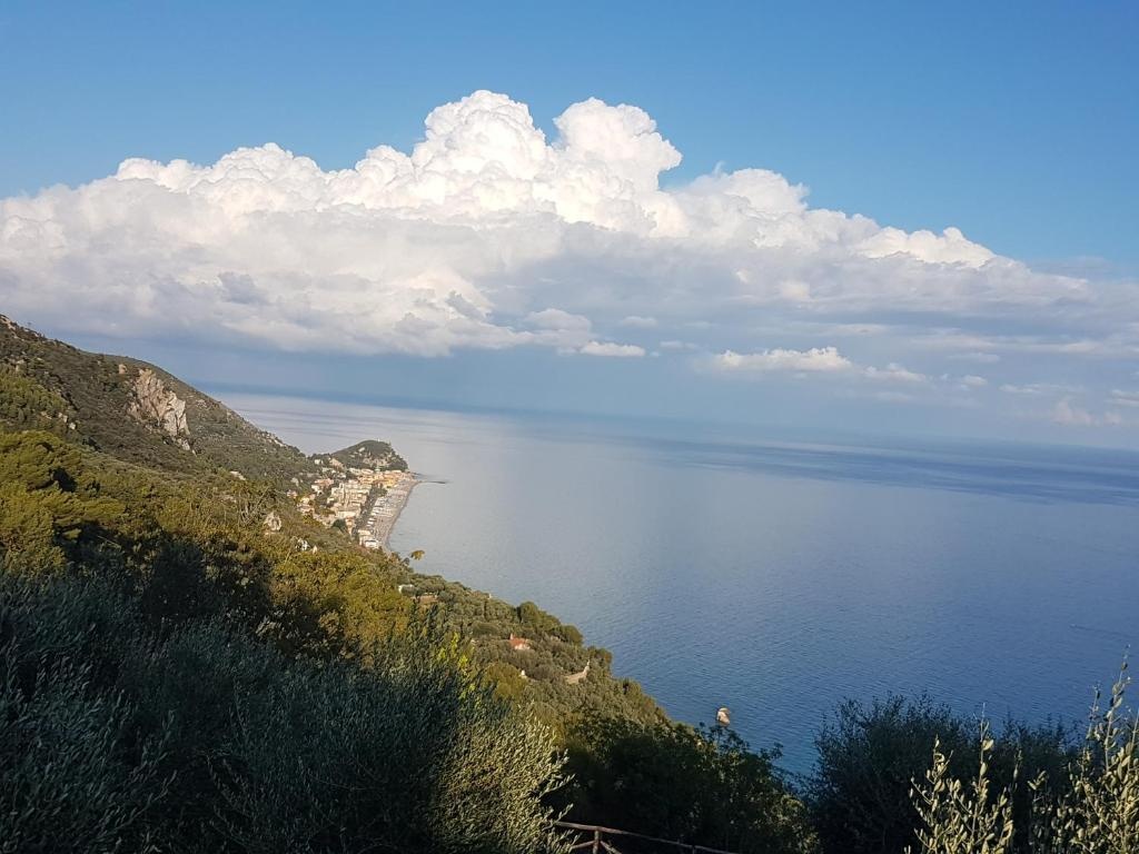VILLA NATURA