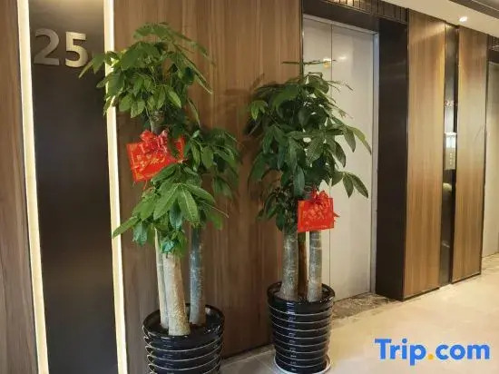 Look Home Hotel