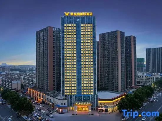 Vienna International Hotel (Luohe Exhibition Center Songjiang Food Street Branch)