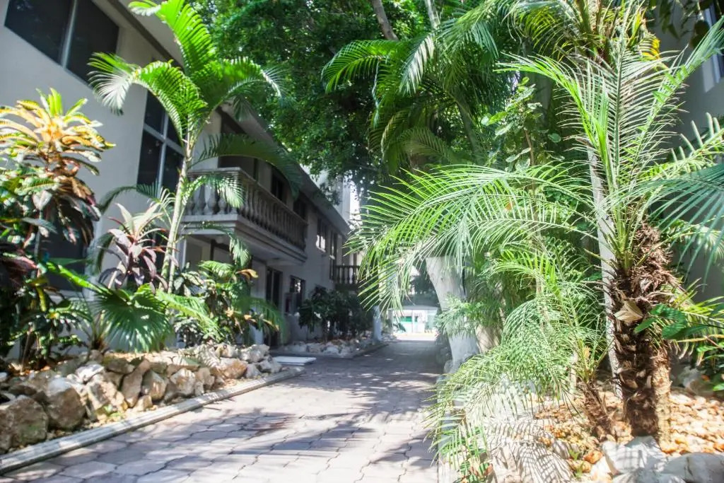 Suites Lafragua