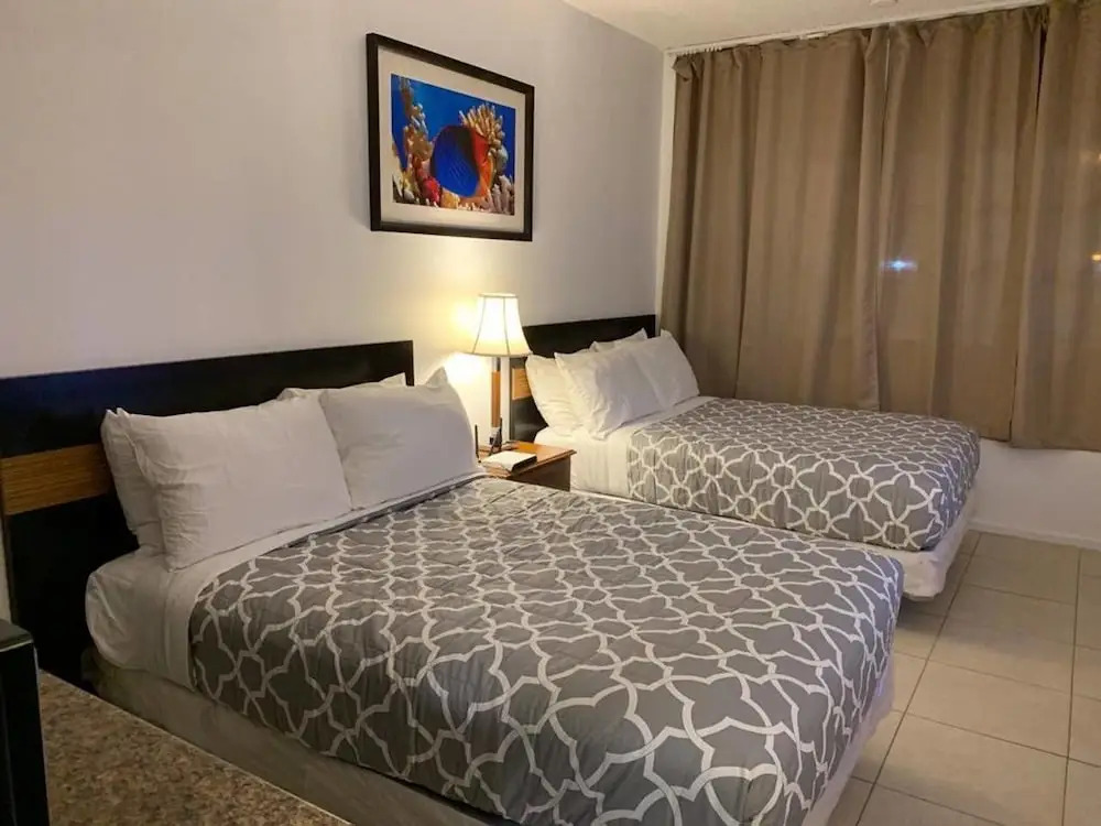 Beautiful cozy 1br apartment walk from the ocean!