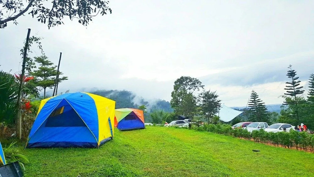 Phulikit View