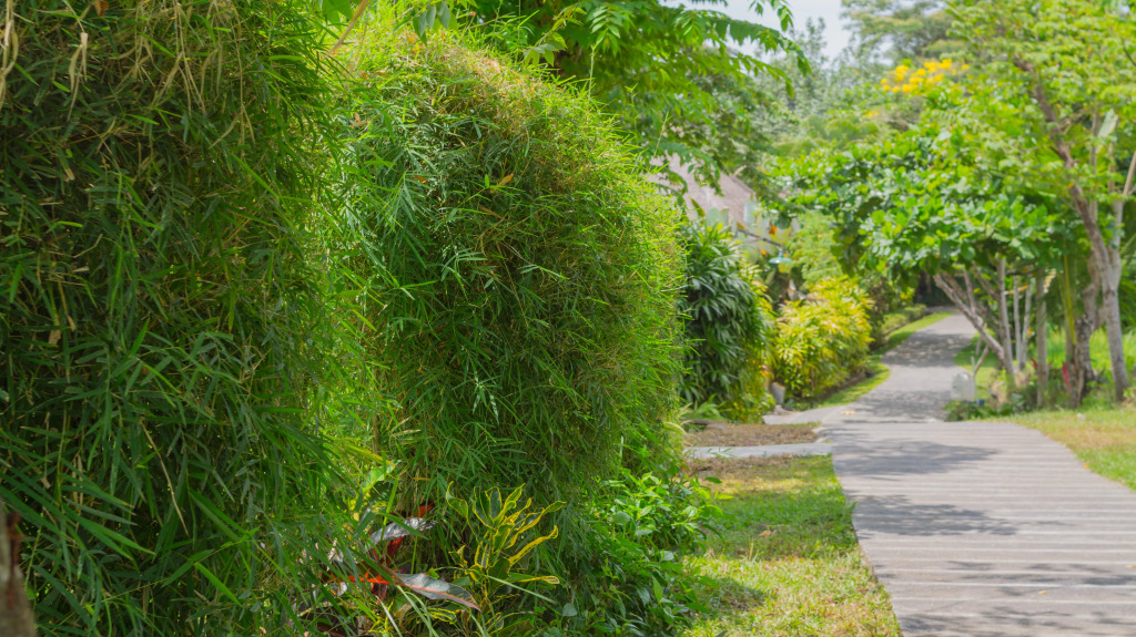 Sapu Lidi Resort Spa and Gallery