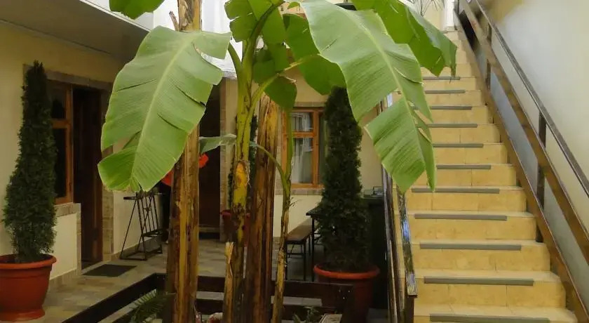 Afalina Guest House
