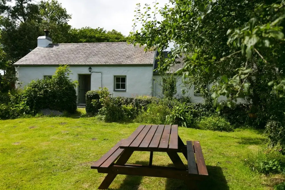 Tyn Llan