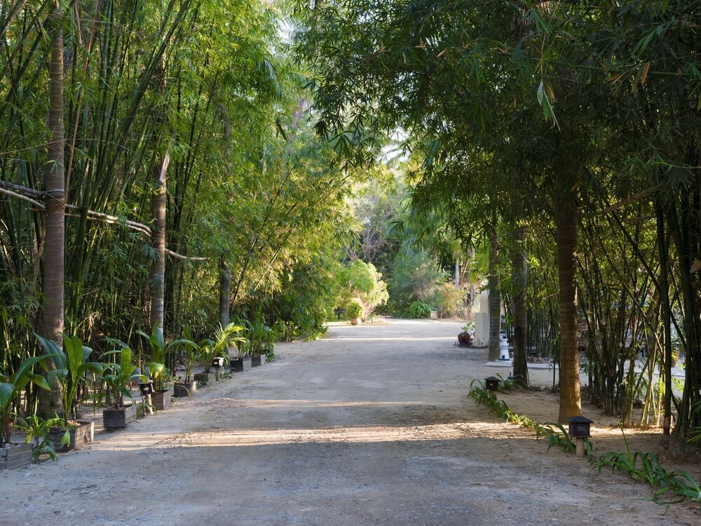 Thande Beach Hotel (Ngapali)