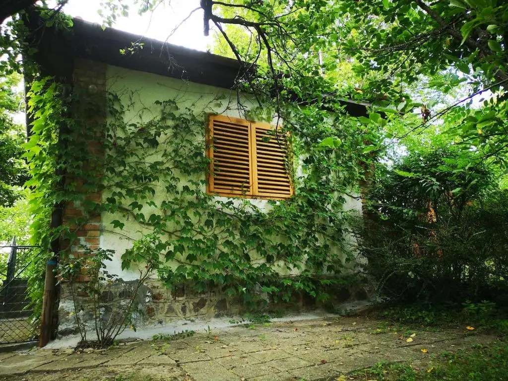 Bocke Beach House
