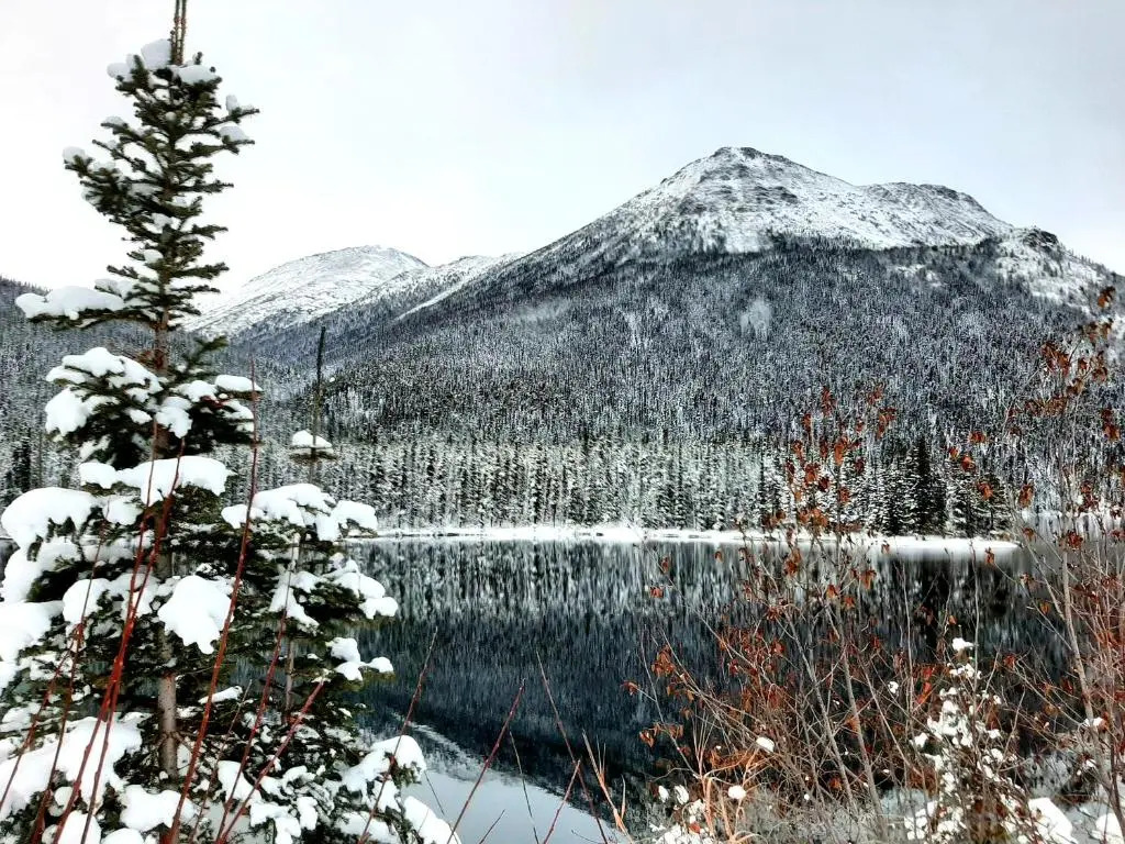Arctic Divide Lodge