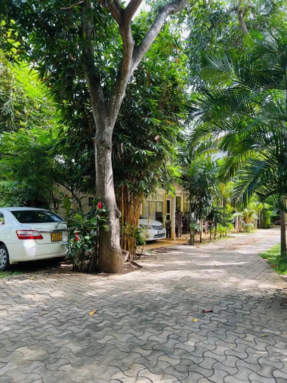 Yala Southern Homestay